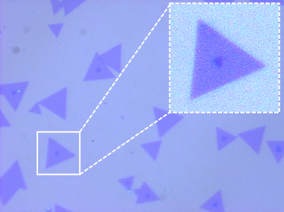 AN-01154-optical-micrograph-MoS2.png